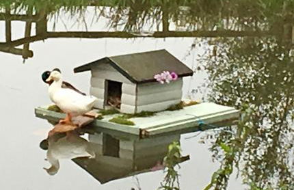 THE HAYLOFT CHESHIRE - Photo 50