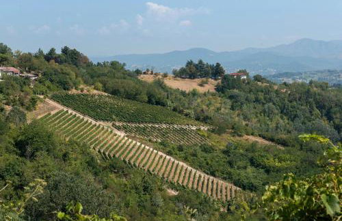 Vacanza Nel Cuore Del Monferrato - Foto 24