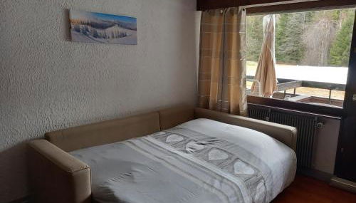 SKI AUX PIEDS et PIEDS DANS L'EAU - Foto 1