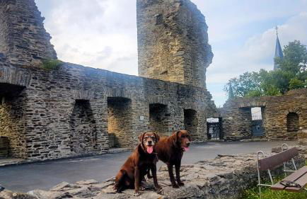 Ferienhaus Löwenherz - Foto 63