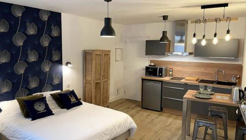 Studio central, parking, lit Queen size par ALP Chartres - Foto 4