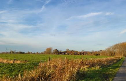 Ferienhaus Dörpblick - Foto 41