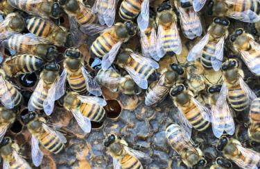 Incanto del Garda - Foto 32