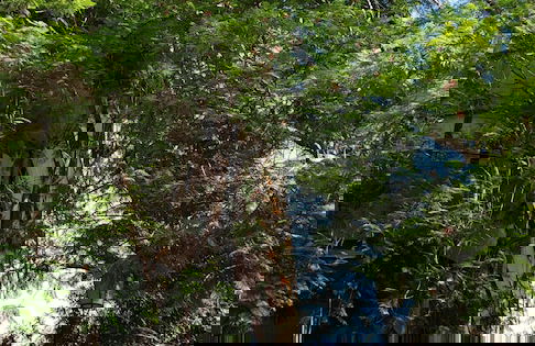 Iberia Lodging House - Photo 18