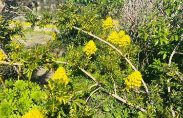 Villa Es Puig, piscina y vistas a la montaña - Foto 56