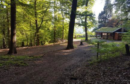 Ferienwohnung "Mosel" - Foto 62