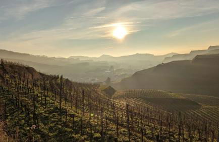 Ferienwohnung Angie - Foto 17