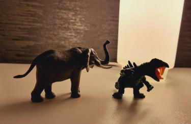 Haus Moor Merland - Foto 24