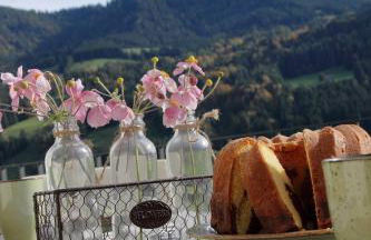 Ferienwohnung Hochsiedel - Foto 9