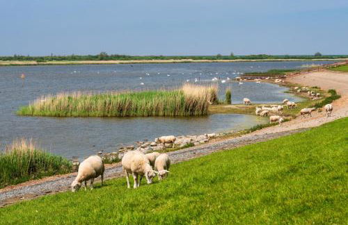 Herzmuschel C4 - Tossens - Foto 17