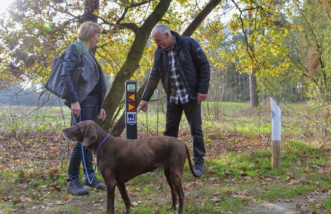 Villa in Maaspark With Lake Views & Sauna - Photo 32