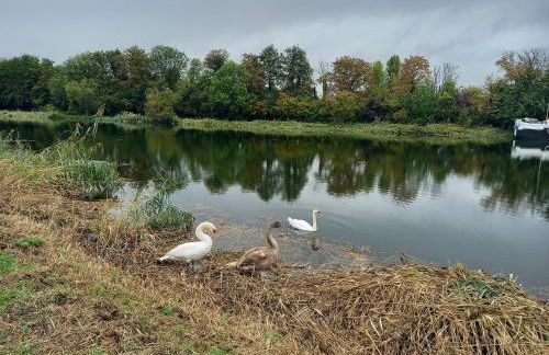 Appartement atypique indépendant sur péniche - Foto 65