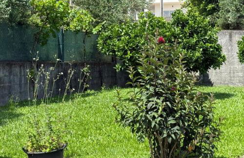 Quinta dos Sonhos - Foto 13