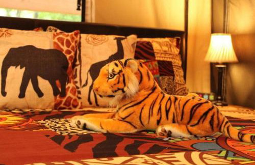 African-Themed Safari Tent for Glamping in West Virginia - Foto 16