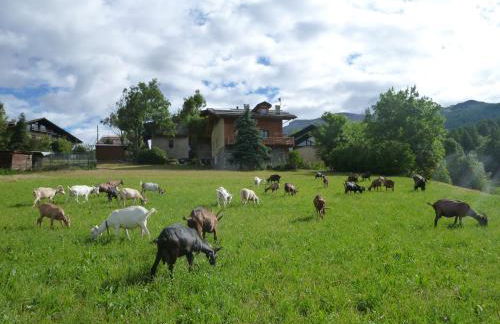 Agriturismo Barba Gust - Foto 26