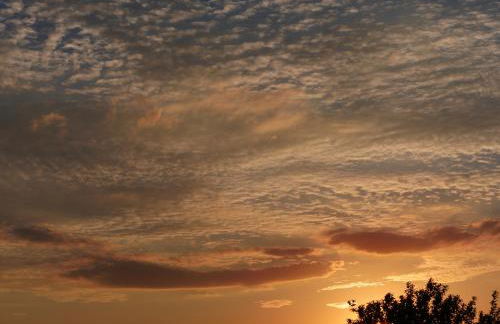 Meerblick - Ostseebad Nienhagen - Photo 6