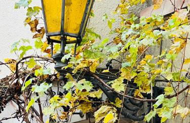 ARTvacanza Neustadt - Foto 69