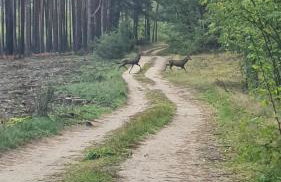 Apartamenty przy Obrze - Foto 11