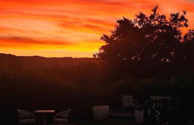 Villa Tuscan Prestige 25 ospiti Piscina Jacuzzi - Foto 31