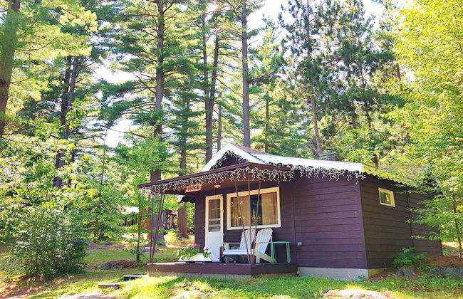 The Wilderness Inn - Foto 58