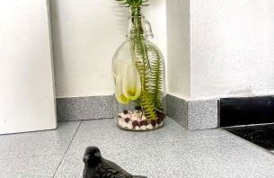 ValverdeApart - Photo 21