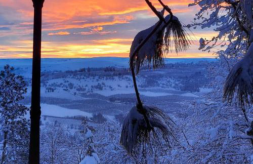 Cherry Heights - Foto 43