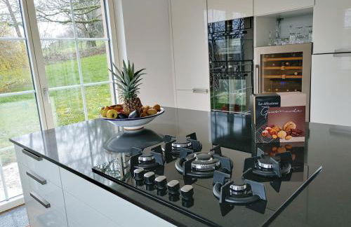 Residenz Dabo Panorama in den Vogesen, 5 Zimmer, modern und großzügig, 2 Balkons, Terrasse, Garten - Foto 44