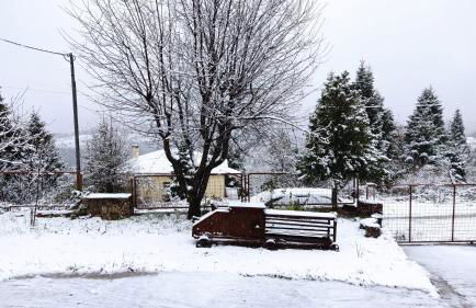 Forest House - Photo 22