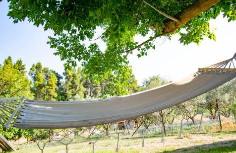 Forest View Apartments by RentalsPro - Fourka Halkidiki - Foto 7