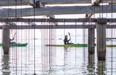 Exclusivo Chalet a Pie de Costa - Photo 3