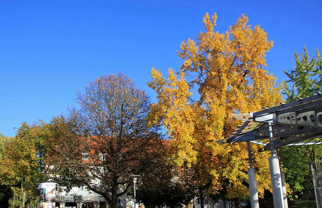 Lakeside Smoker Apartment FDH - Photo 16