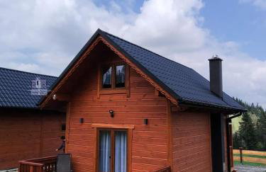 Domki na Zagroniu - Foto 21