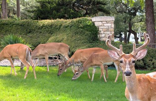 3107 The Island - Foto 5