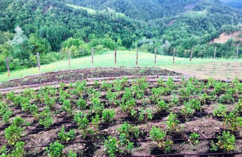 Pizzicalaluna Agriturismo Olistico sulle Colline di Pianoro - Photo 74