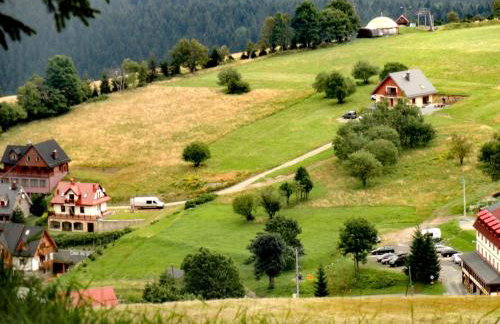 Domek Zieleniec - Foto 10