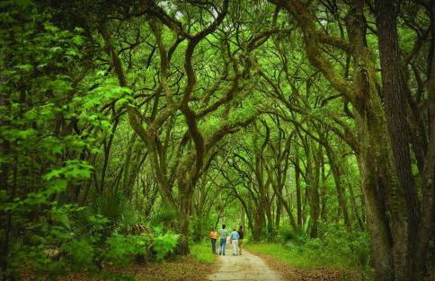 Lagoon View 5 Bedroom Moreland Village Home 5573 - Photo 77