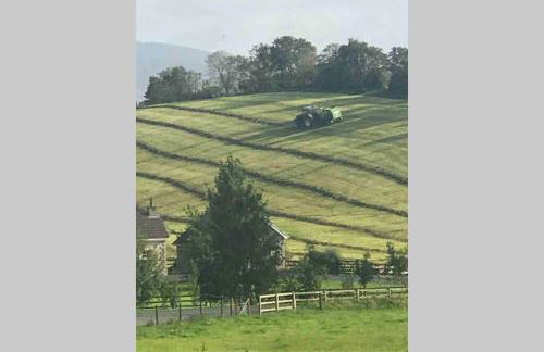 The Byre (Unusual and Different). - Foto 28