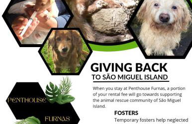 Penthouse Furnas - Photo 3