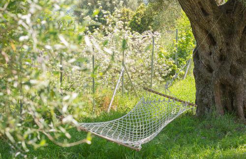 Eleonas Country House - Foto 49