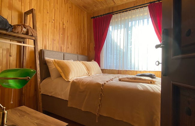 Rino Hauss - Photo 3