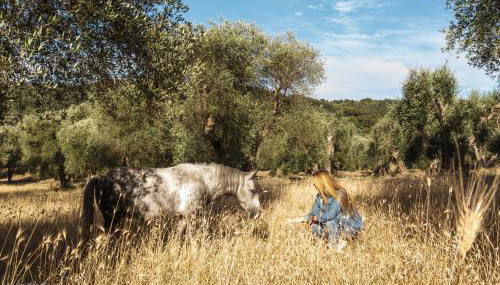 Casa Masseria Le Ville - Foto 5