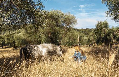 Casa Masseria Le Ville - Foto 5
