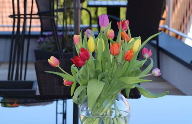 Penthouse Tauberblick Terrace - Foto 27