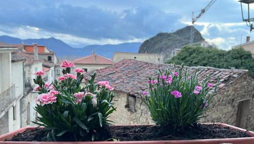 Eco del ponte - Foto 2