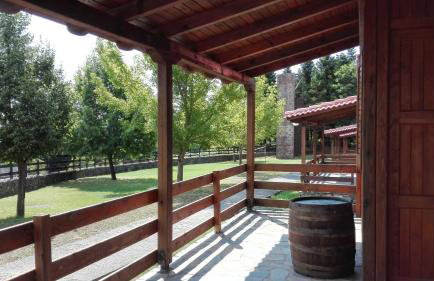 Livadaki Village - Δασικό Χωριό Λιβαδάκι - Foto 16