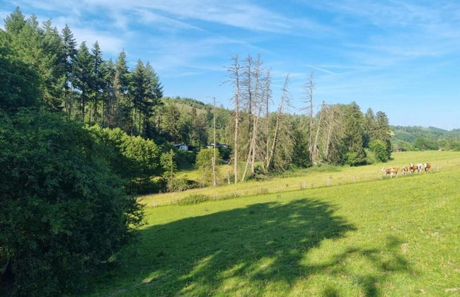 Marsberg Nature Nest - Foto 32