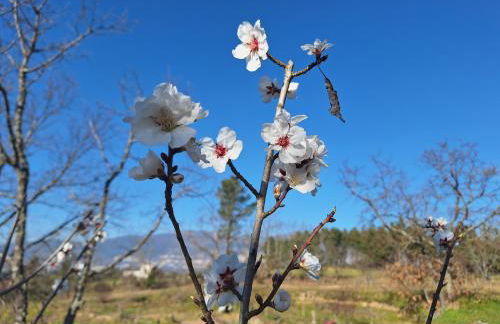Quinta da Portela - Foto 7