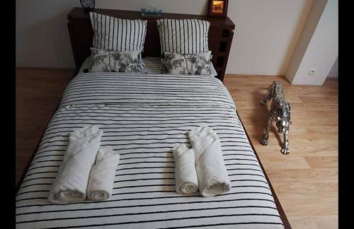 COSY HOME - Wifi - Paris/Orly - Accès 24/24 - Foto 17