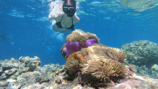 Enjoying the experience