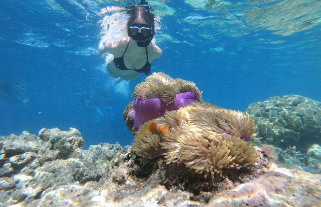 Snorkeling à la plage d'Escambrón - Photo 2